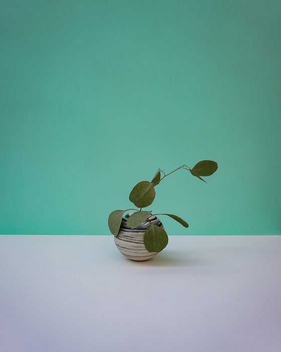 Vase with eucalyptus. Janne Meier Ceramics | Wildflower Pebble Vase | Shop Fodder