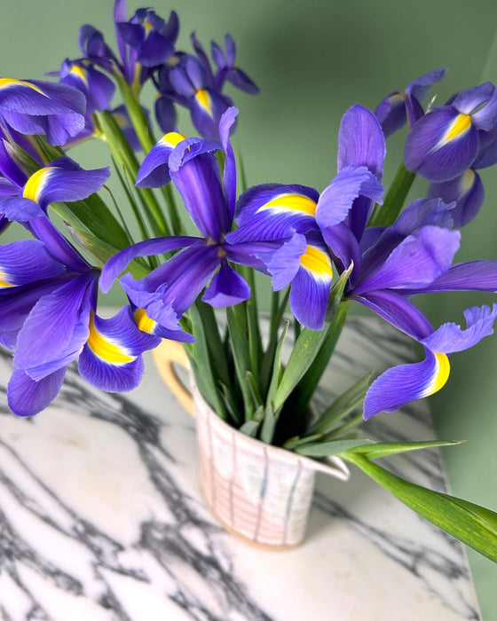 a bunch of irises in a jug on a marble table. Sophie Alda | Handmade Ceramics | Shop Fodder