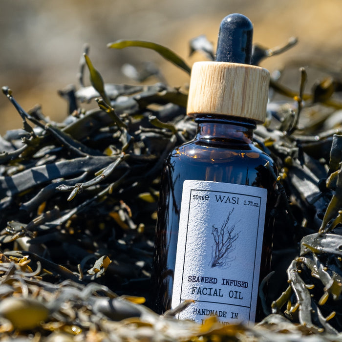 Bottle of Wasi Seaweed Infused Facial Oil surrounded by seaweed | Infused Seaweed Facial Oil | WASI Seaweed | Shop Fodder