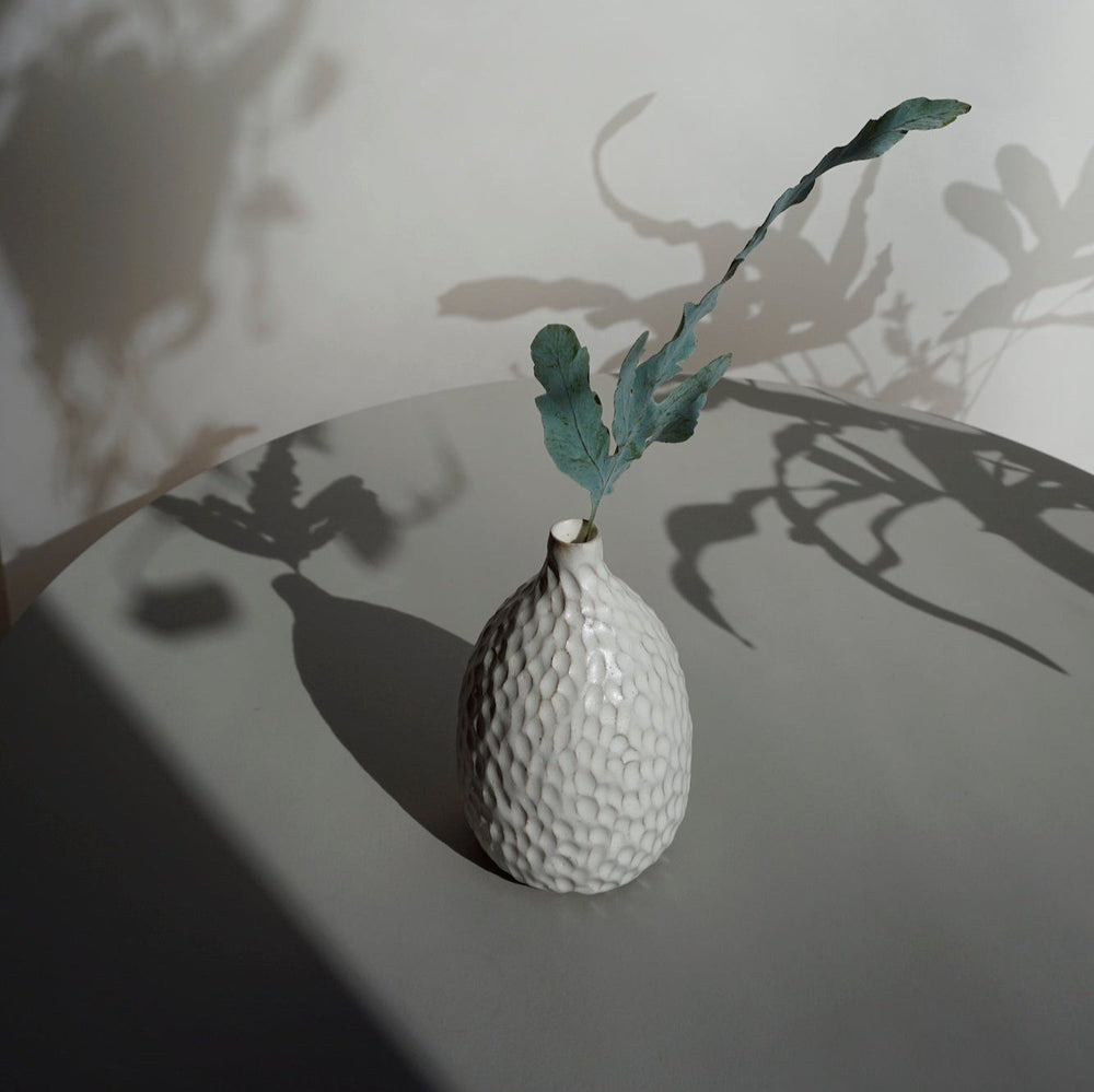 Seeds Vase