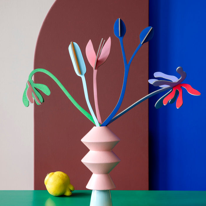 Perfect, Sustainable everlasting Flowers | Juliets Field | Studio Roof | Shop Fodder  